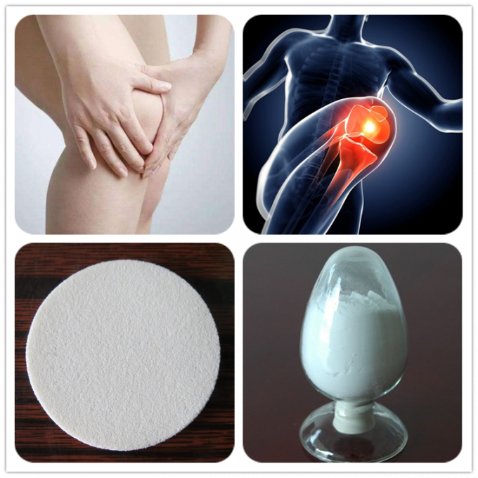 USP40 Standard Chondroitin Sulfate With DMF Documents For Arthritis Drugs