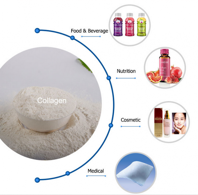 Hydrolyzed Fish Collagen Powder Collagen Type 1 Odorless For Dietary