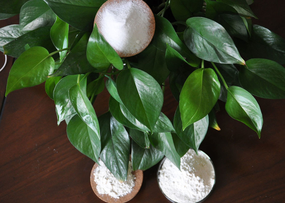 White Sodium Hyaluronate In Cosmetics Hyaluronic Acid Skin Care Products