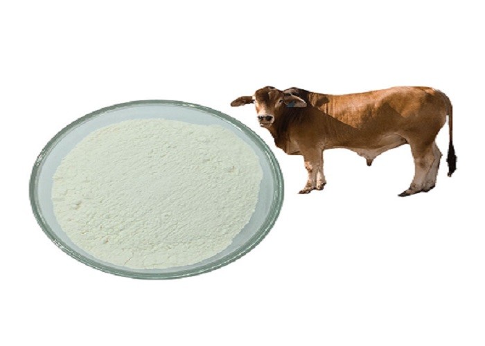 USP39 Grade Chondroitin Sulfate Sodium Extracted From Bovine Cartilage