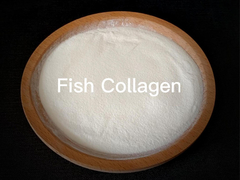 Fish Collagen marine collagen peptides Hydrolyzed Collagen Types 1