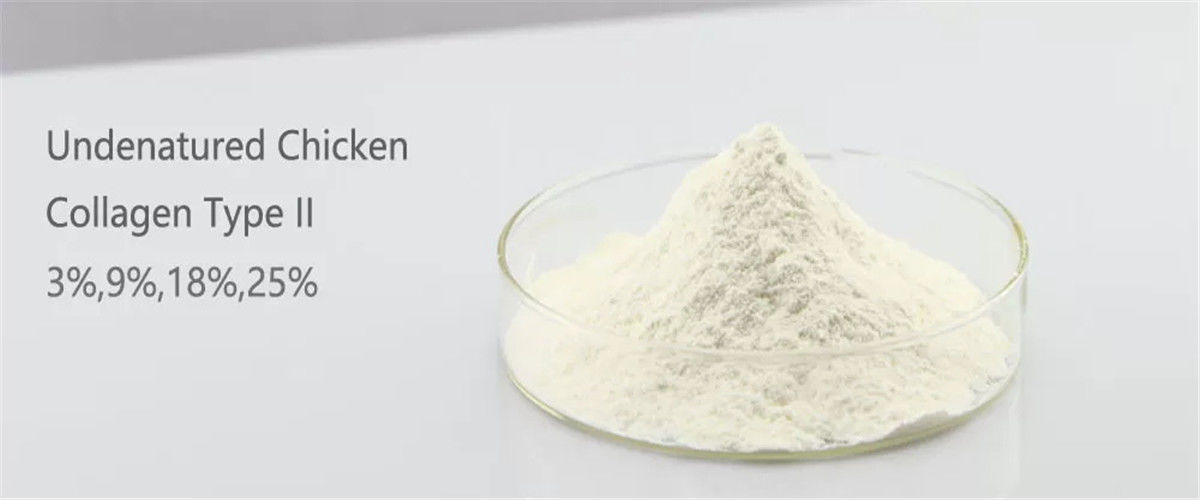 China best Collagen Type 1 on sales