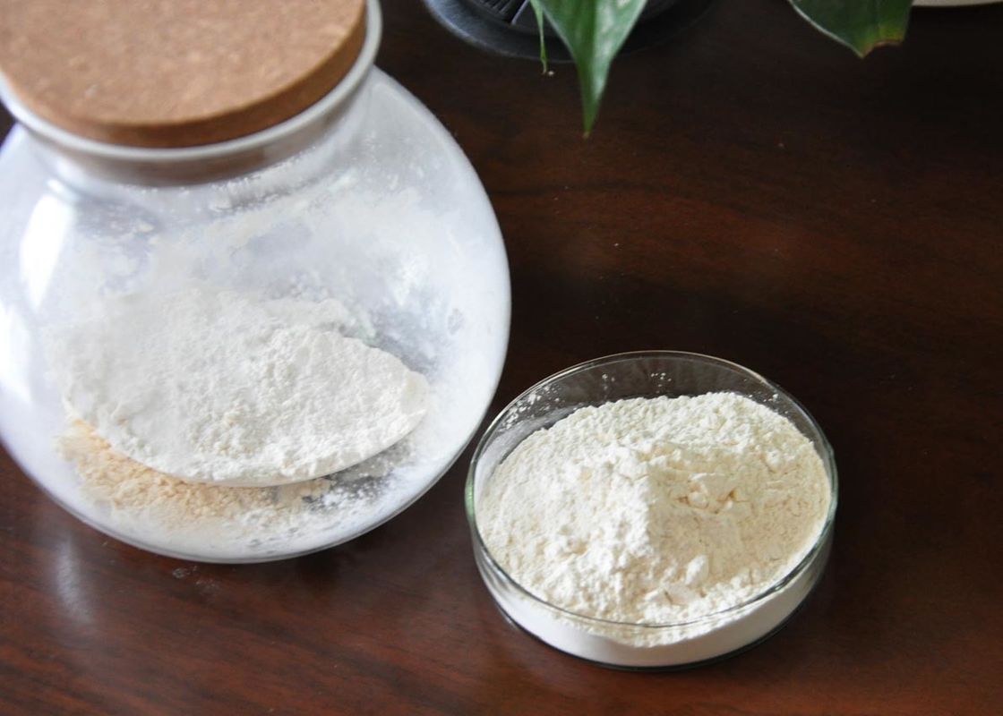 White Calcium Chondroitin Sulfate Powder NSF-GMP Verified