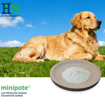 minipote® Low Molecular Weight Chondroitin Sulfate Sodium Powder Bulk for Pet Jonit Health ingredients