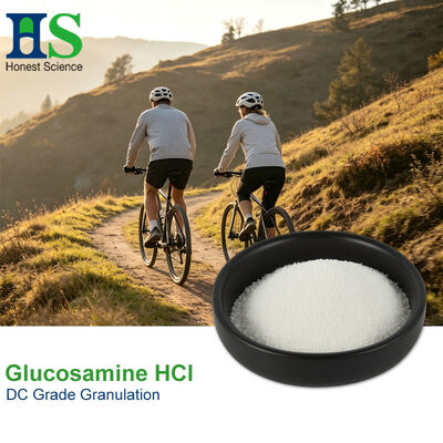 Pharma Grade D-Glucosamine HCl Powder | HS Nutra