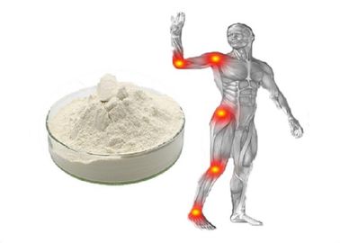 White Powder Shark Chondroitin Sulfate EP 95% Joint Care With GMP / DMF