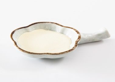 CPC95% Bovine Sodium Chondroitin Sulfate With NSF - GMP For Osteoarthritis