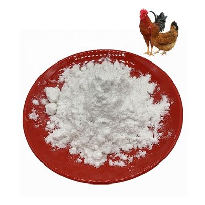 Treating Osteoarthritis White Chicken Sternum Collagen Type 2